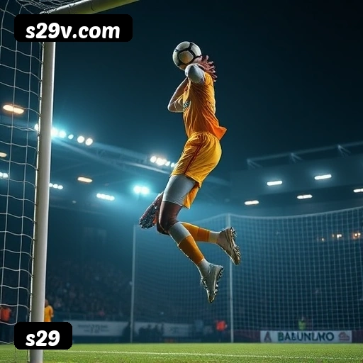 Níveis do programa VIP da s29